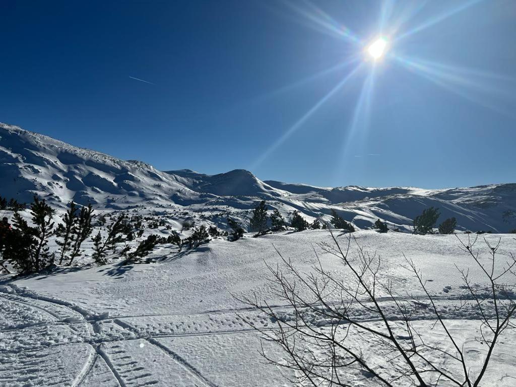 Holiday Home Vila Bjelašnica Dış mekan fotoğraf