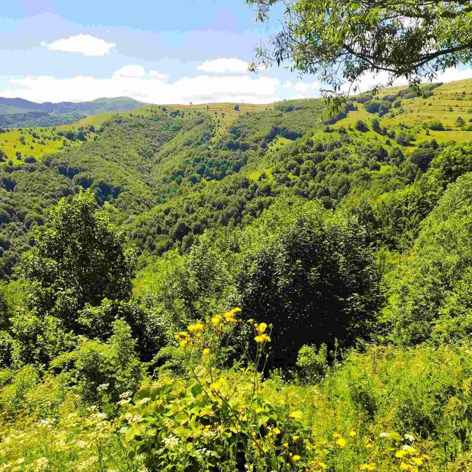 Holiday Home Vila Bjelašnica Dış mekan fotoğraf